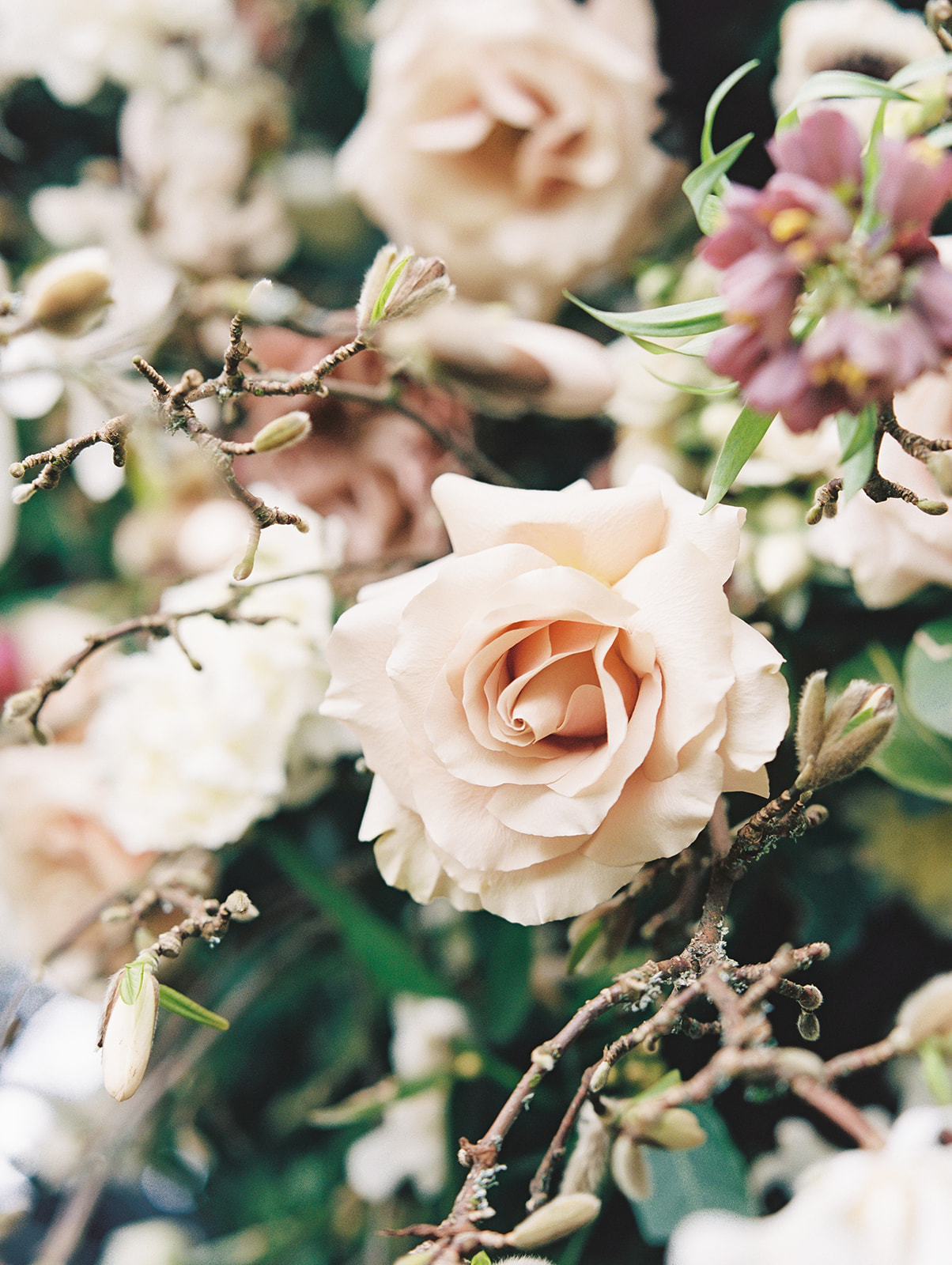 Chateau-Lill-Wedding-Floral-Arch-Closeup.jpg A close up image of a rose amidst blooming branches in the floral hedge