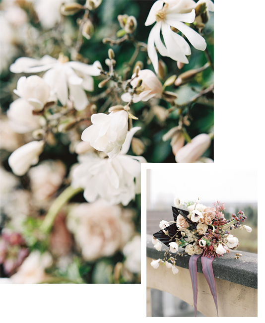 a photo collage of spring blooms with tulip magnolia, anenomes, and more