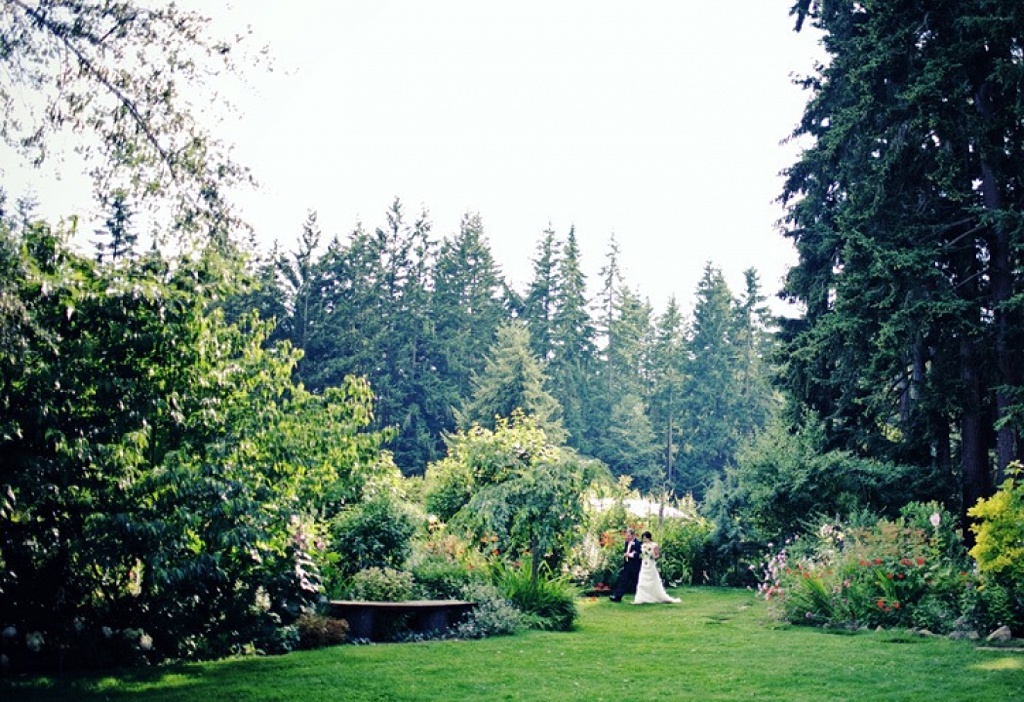 Folk Art Flowers Best Outdoor Wedding Venues in Seattle_0006 the garden at Fireseed Catering abutting some large evergreen trees