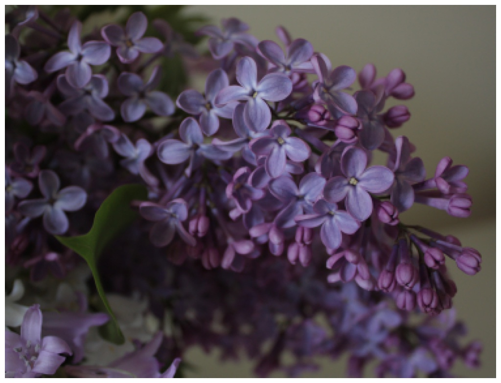 Seattle-Wedding-Florist-Bloom-Poet-Best-May-Wedding-Flowers-Lilac A purple lilac in a May wedding flower arrangement