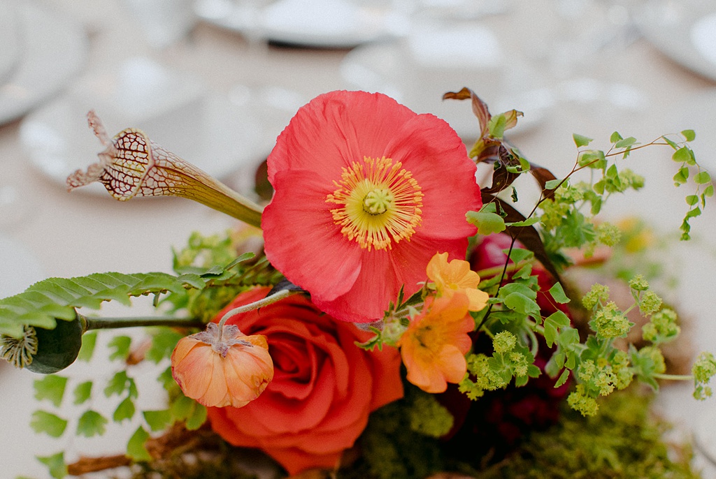 Bloom-Poet-Seattle-Wedding-Florist-Kiana-Lodge-Wedding-Centerpiece-Poppy A poppy in a Kiana Lodge wedding centerpiece