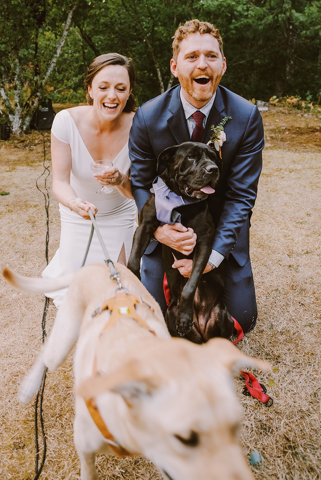 Bloom-Poet-Seattle-Wedding-Florist-Summer-Wedding-Dogs.jpg The bride and groom try to wrangle their two dogs at the wedding